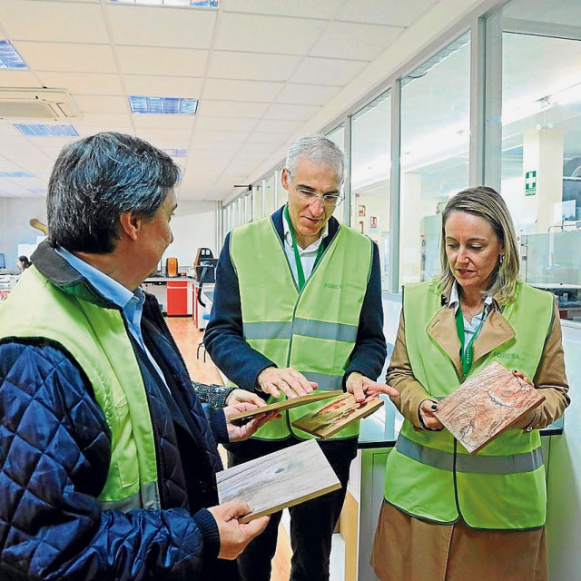 Una Planta De Metanol Verde En Caldas De Reis