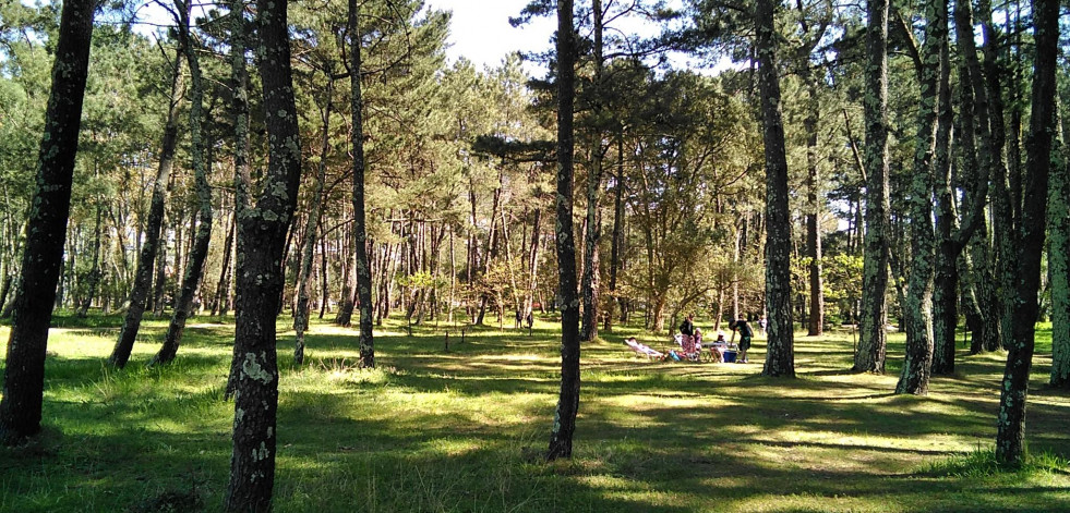 Segunda jornada sobre gestión forestal sostenible en el municipio de As Pontes