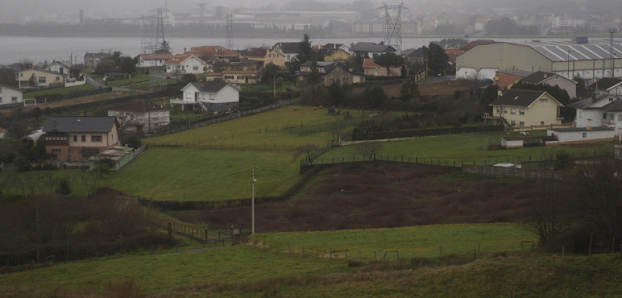 La polilla de la patata pone en jaque las huertas de trece concellos de la zona