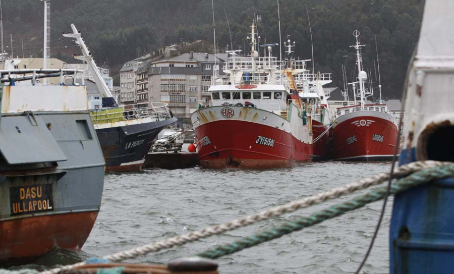 Sanidade hará test a todos los tripulantes de navíos de pesca embarcados más de diez días