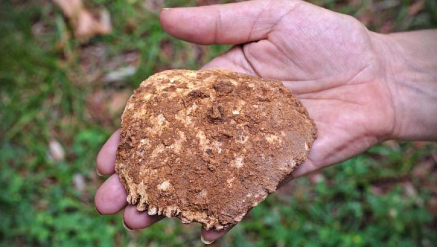 Descubren restos humanos en la nueva cueva de Atapuerca