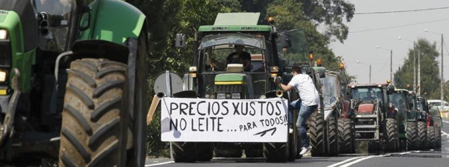 El Gobierno anuncia una ayuda de 300 euros por vaca para granjas deficitarias