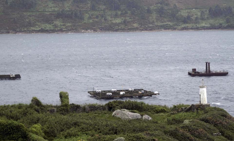 Mar autoriza que las bateas de Ferrol puedan dar servicio a otras cofradías