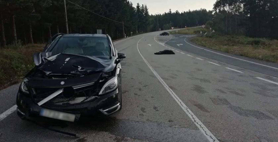 Un pequeño potro provoca un aparatoso accidente automovilístico en Ortigueira