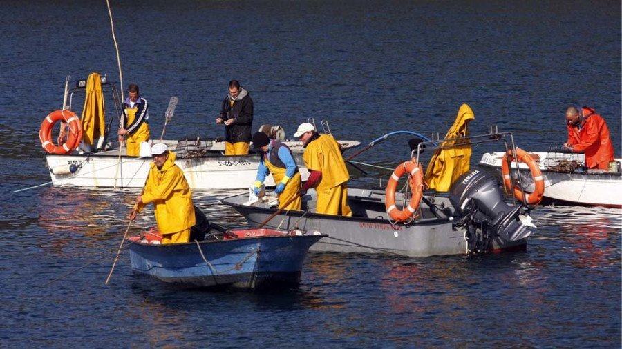 Ferrol y Barallobre registran en julio sus peores niveles de capturas desde el año 2015