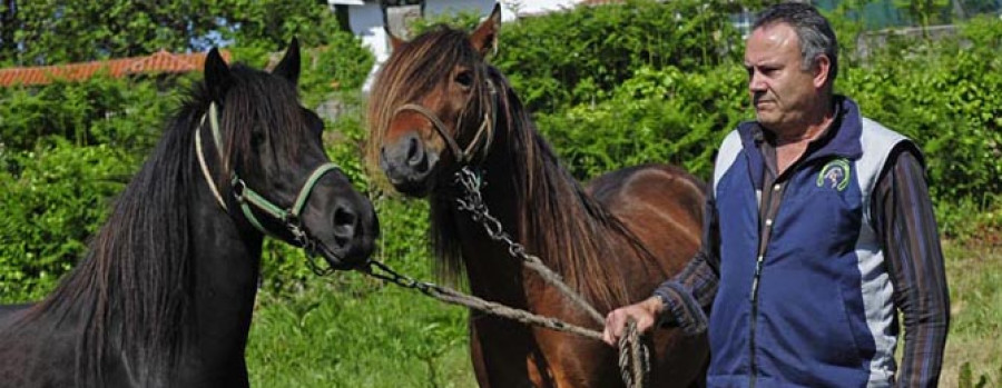 El ferrolano José Fandiño pone en valor la Pura Raza Galega  de ganadería caballar