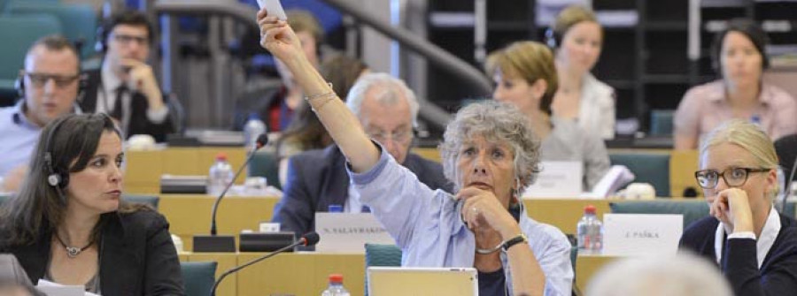 La Comisión de Peticiones modifica su informe y elimina las referencias a Ferrol