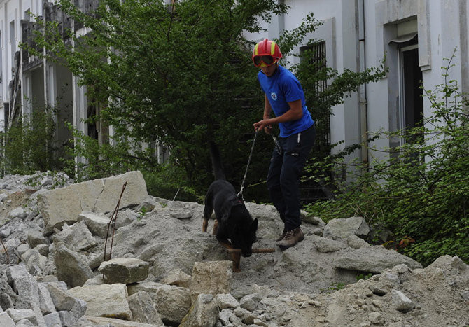 Los perros  de salvamento rescataron a nueve personas en 2015