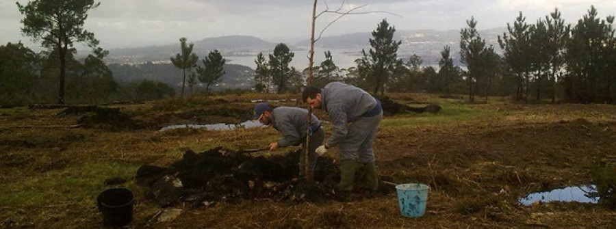 FENE - Reforestación de montes en Marraxón