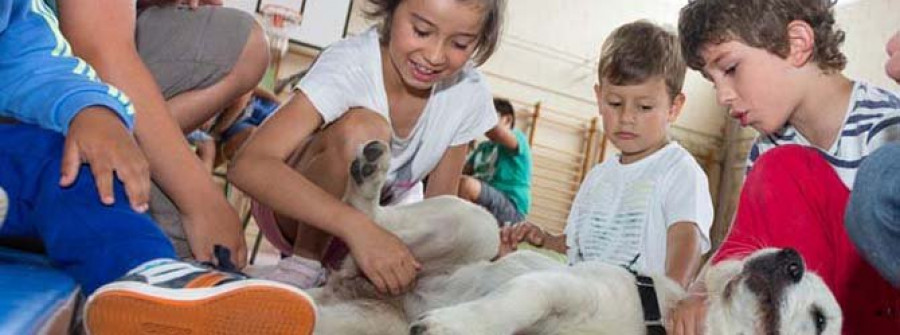 Taller de educación cívico-canina en la Aldea de Verán