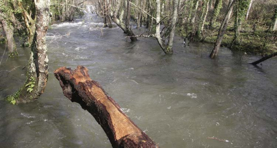 Narón reclama a Augas de Galicia que “colabore” en la limpieza de los ríos locales