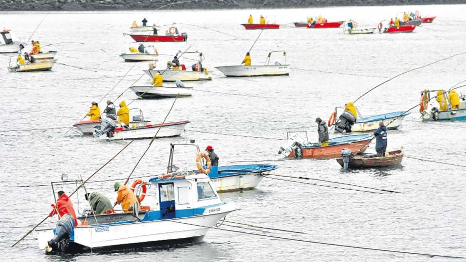 Las ventas en las tres lonjas de la ría cayeron 1,4 millones en el último trienio