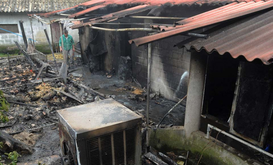 Un incendio calcina parte de una granja porcina con más 200 lechones en Culleredo