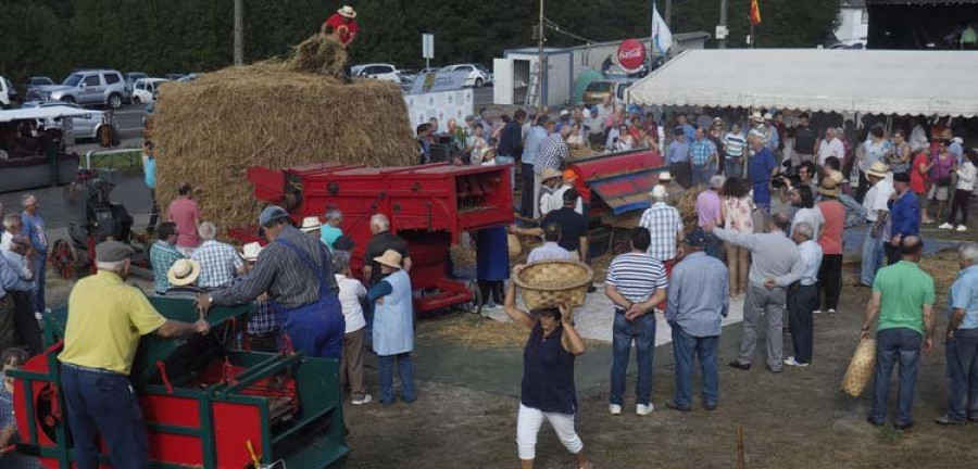 La Festa da Malla de Cerdido bate records de participación en su décima edición