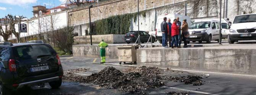 Protesta de los pósitos ante la fase terminal de la almeja babosa