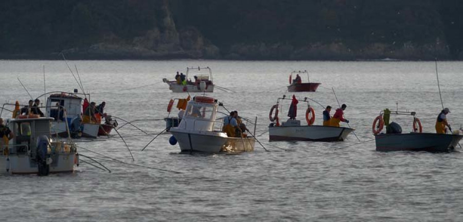 El BNG insta a la Cofradía a realizar un plan de explotación marisquera para la ría local