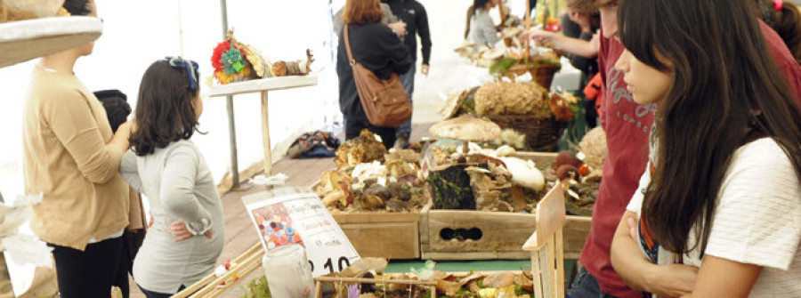 Unha saída mico-fotográfica abre hoxe o programa da feira pontesa de fungos e cogomelos