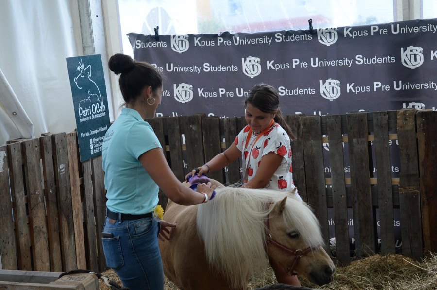 O Campo das Cabazas acolle unha previa infantil do Equiocio