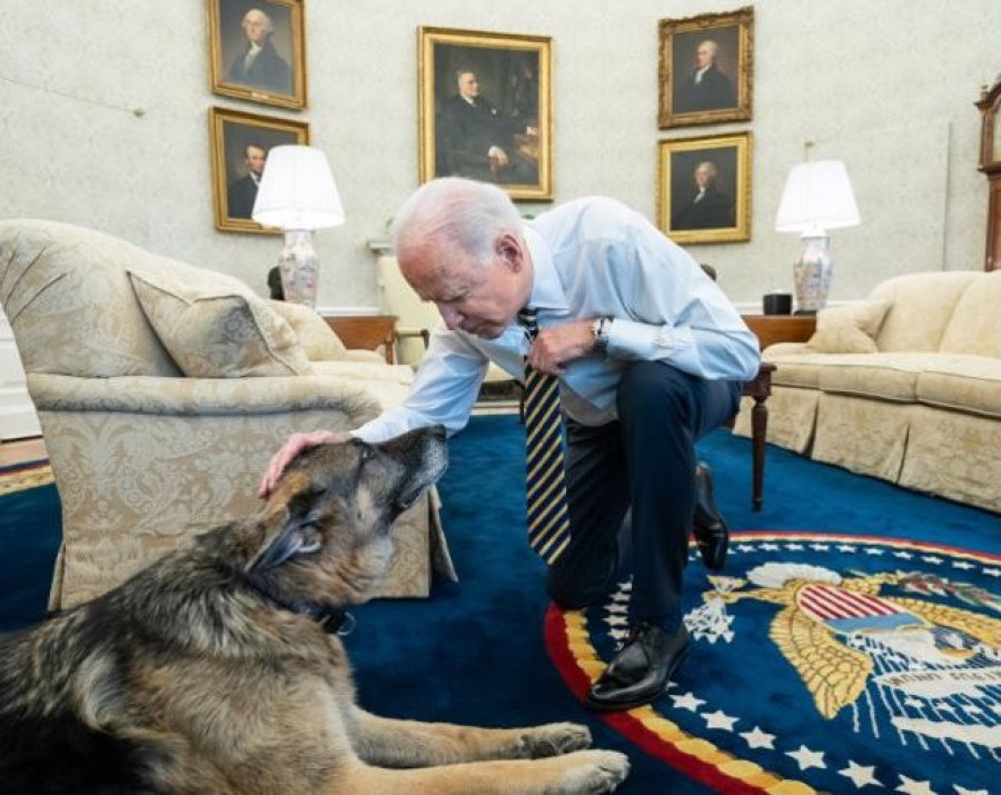 La Casa Blanca anuncia la muerte de 'Champ', uno de los perros del presidente Biden