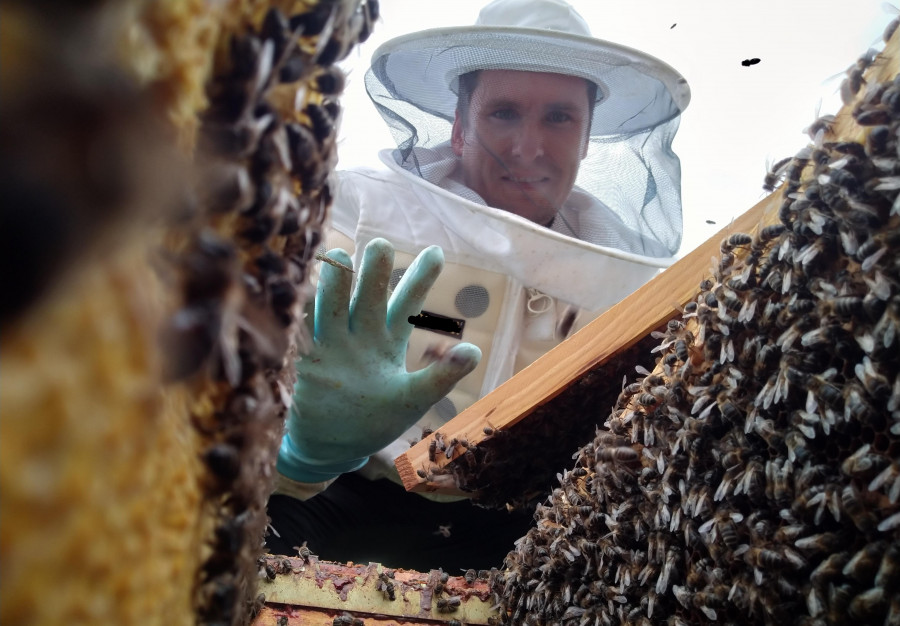 David Rodríguez: “A sanidade das abellas reflíctese na calidade do mel por iso facemos que estean o máis nutridas posible”