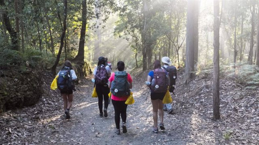 Peregrinos del Camino de Santiago recogieron casi 186 toneladas de basura que depositaron en 358 ecoalbergues