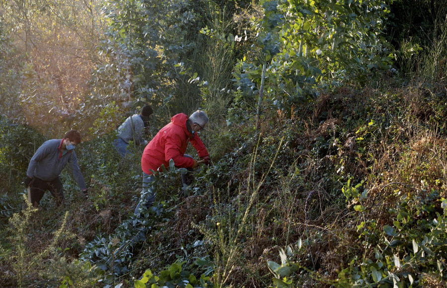 Asociaciones vecinales y entidades limpiaron el Monte del Estado