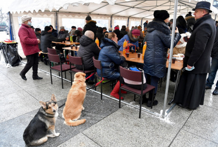 El 74% de las personas sin hogar ve a su perro como su principal apoyo social