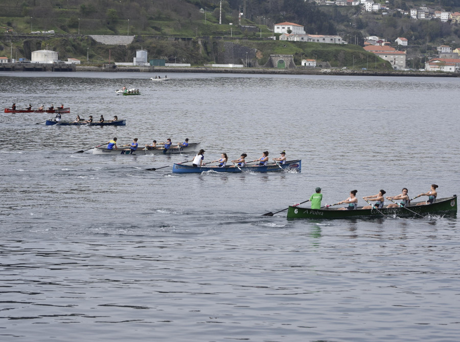 Doce embarcaciones locales disputarán la final del Gallego de bateles