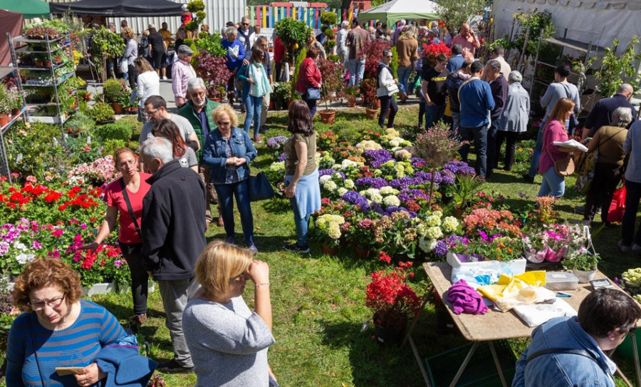 Continúan las actividades relacionadas con el rural  tras la Feira da Plantación