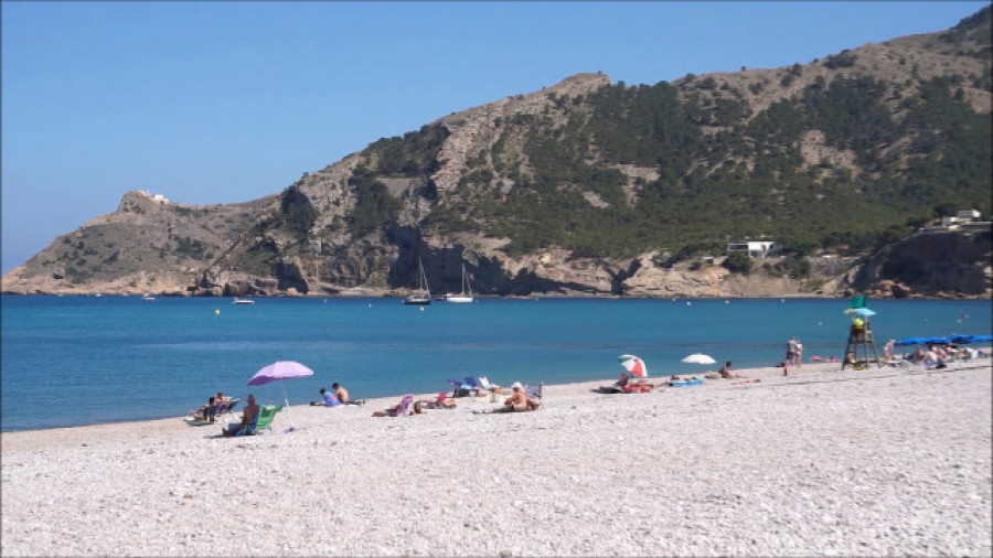 Susto en una playa de Alicante al salir del mar un jabalí y morder a bañista