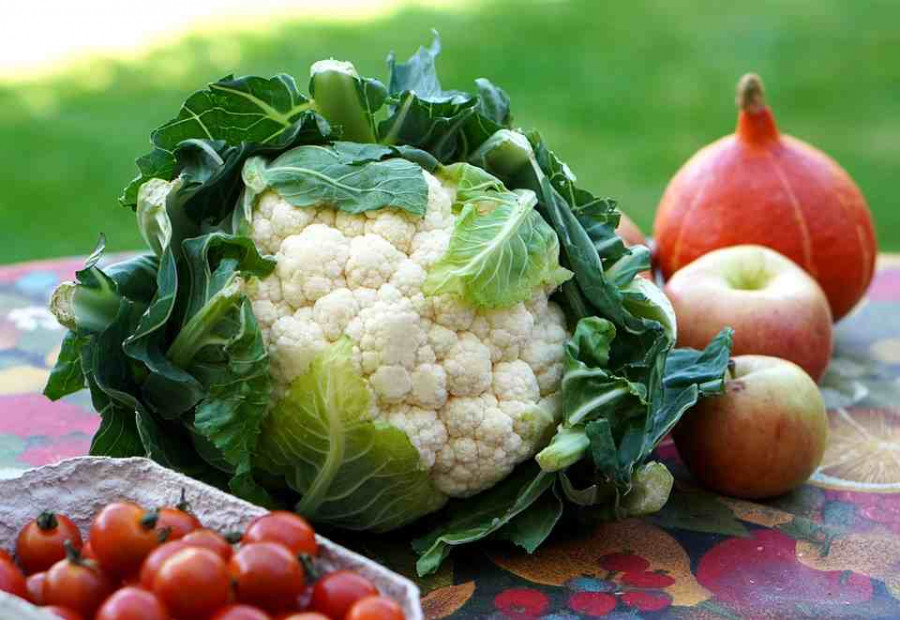 Fruta y verdura fresca a domicilio