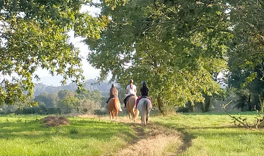 Granja Labrada celebra hoy el segundo Festival de Otoño en Grañas do Sor