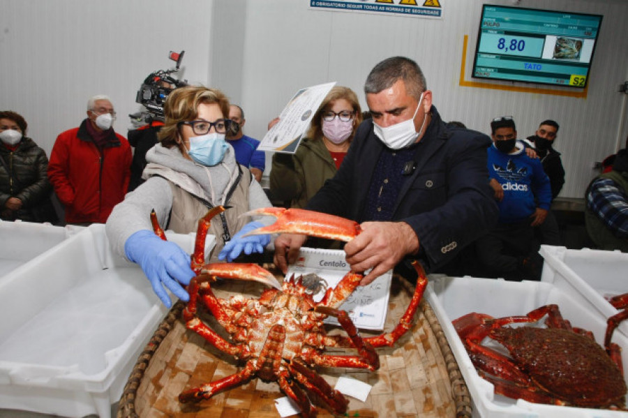 Mar, turismo y gastronomía