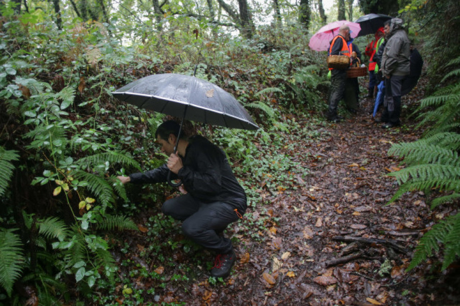 Un frente frío dejará lluvias este domingo en toda Galicia