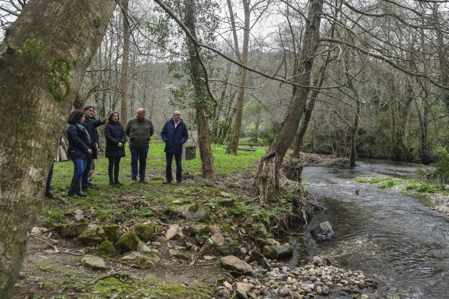 El proyecto “Mil ríos” elimina del río Mera, en Ortigueira, la vegetación herbácea invasora