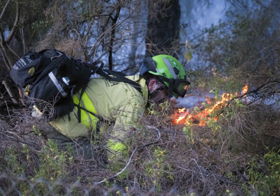 El Gobierno adelanta mes y medio el inicio de la campaña contra incendios forestales