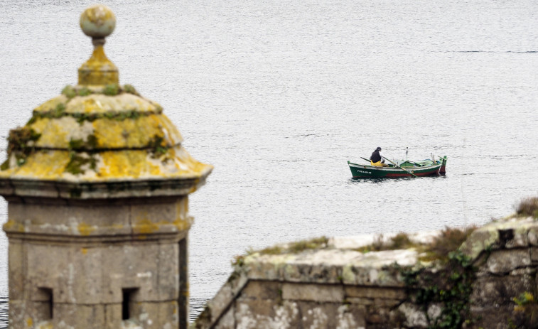 Las cofradías de la ría cierran el primer trimestre con caídas en las capturas