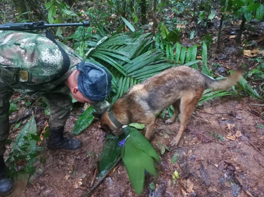 Mensajes y kits alimentarios para acelerar el rescate de los niños perdidos en Colombia