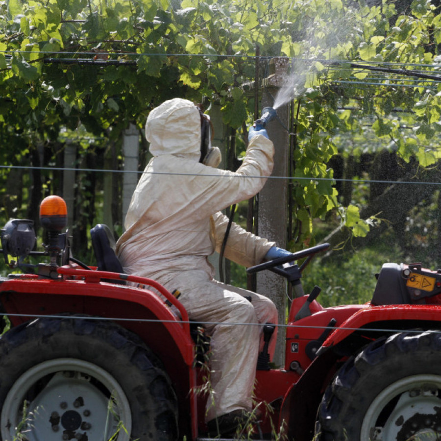 Llegan los primeros biofungicidas para combatir el mildiu