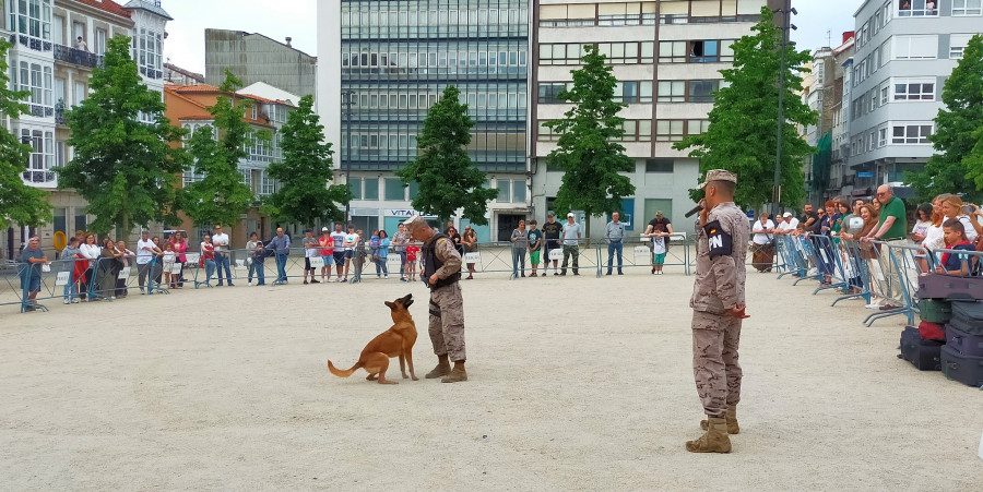 La Unidad Cinológica del Tercio Norte de Ferrol exhibe sus capacidades en Armas