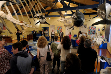 Museo historia natural otra