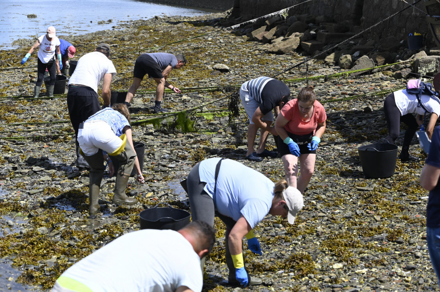 Cerca de 80 mariscadores a pie participarán este año en la limpieza de basura marina