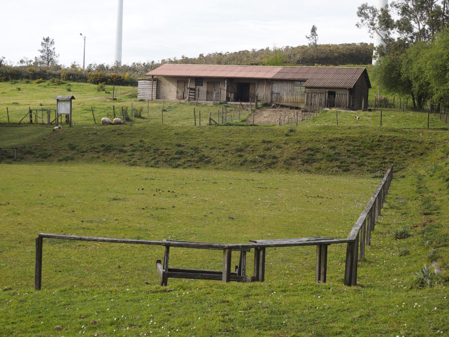 Aldea Nova acogerá este verano las Colonias de Vacaciones de la Institución Libre de Enseñanza