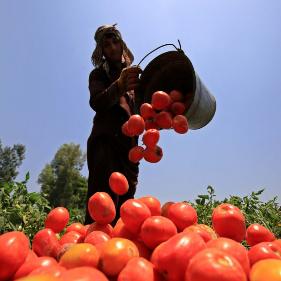 Los alimentos son menos verdes y poco ecológicos