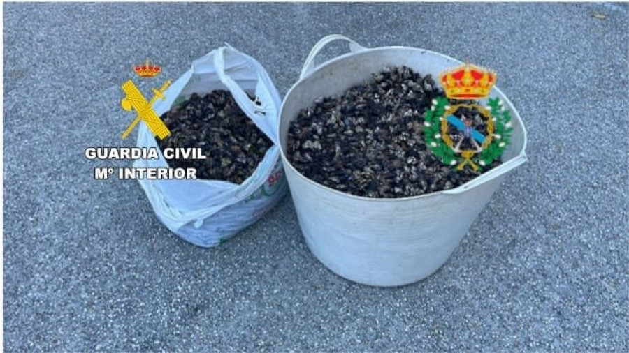 Decomisan 34 kilos de percebe en la costa de Ferrol