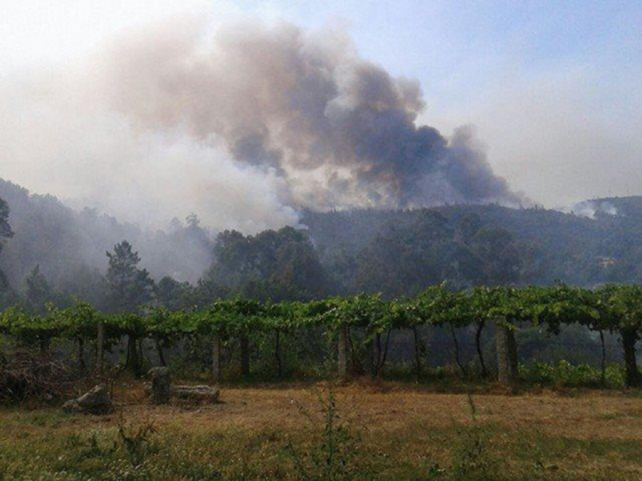 Dos aviones y dos helicópteros actúan en un incendio en Arbo