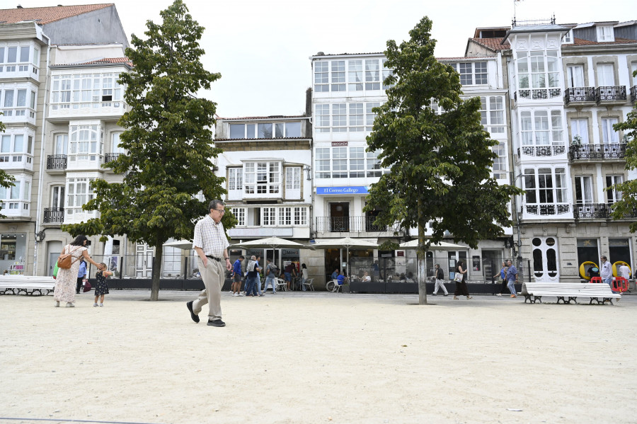 Peligra la conservación de los tilos de la plaza de Armas, afectados por estrés