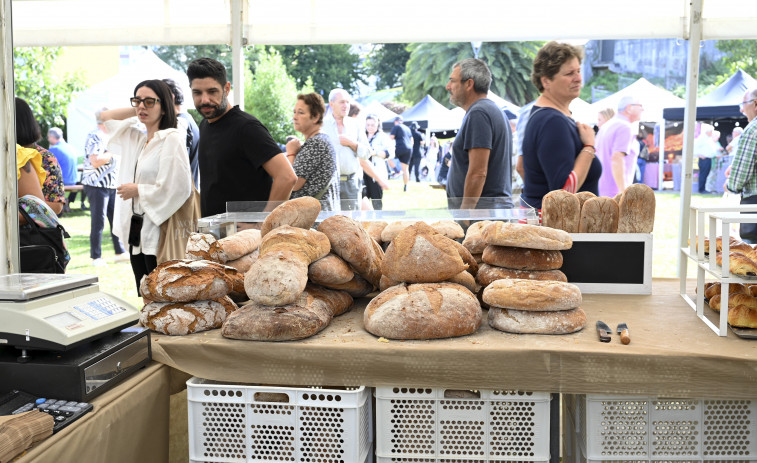 La Festa do Pan de Neda celebrará su edición número 34 el próximo septiembre