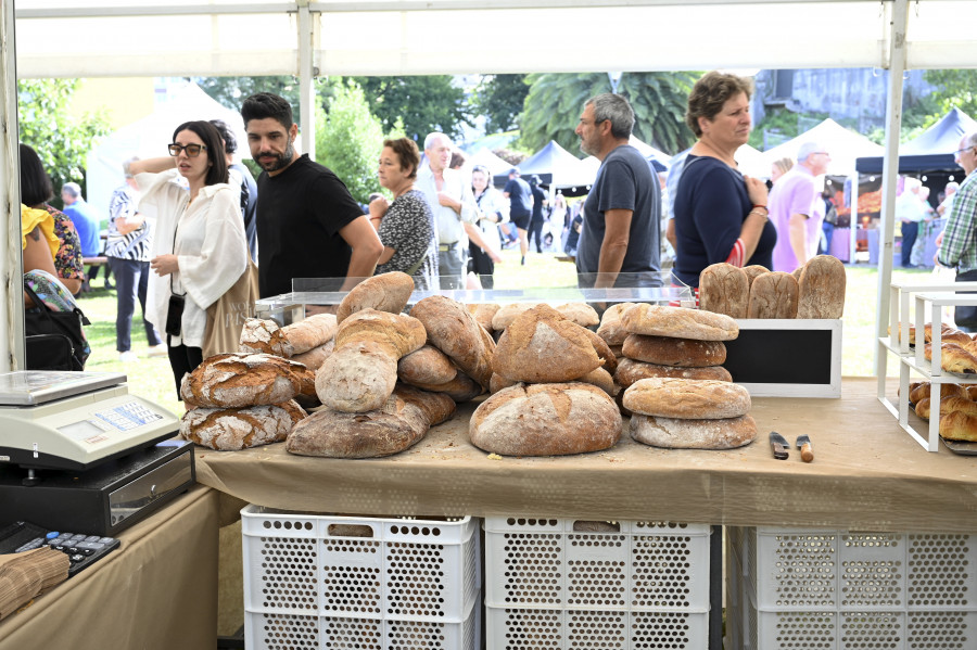 La Festa do Pan de Neda celebrará su edición número 34 el próximo septiembre