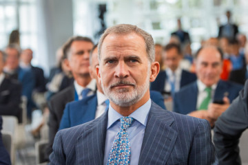 FelipeVI 8